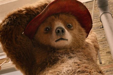 Paddington 2 The Second Film Of Michael Bonds Peruvian Bear Is Out In Cinemas Across Kent
