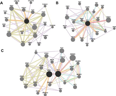 Biological Networks Are Highly Interconnected Network Interaction Maps Download Scientific