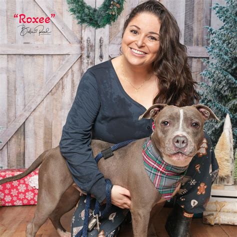 Roxee Is Available For Adoption At Acct Philly