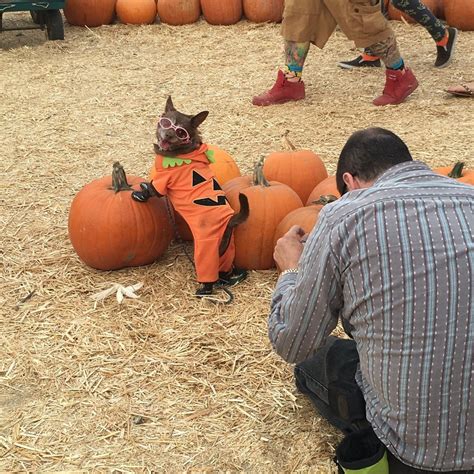 This Might Be The Greatest Dog Photo Shoot Of All Time