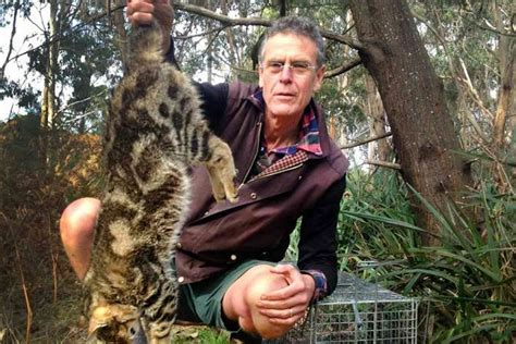 australia s war on feral cats shaky science missing ethics