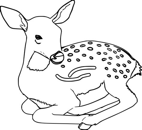 Cute Baby Spotted Deer Coloring Pages Coloring Cool