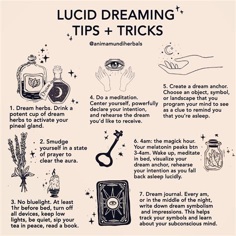 The Ultimate Guide To Lucid Dreaming in 2020 | Lucid dreaming tips, Lucid dreaming, Dream spell