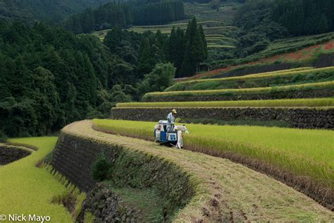 Harvester On The Rice Terrace Warabino Kyushu Japan 2018 Nick