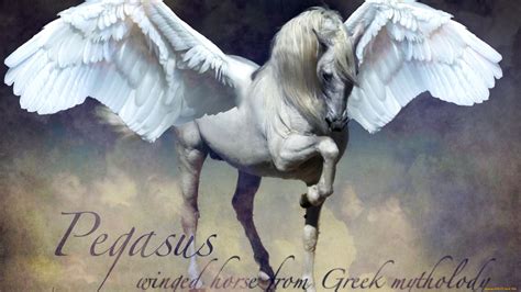 Free Download Fantasy Pegasus Wallpaper 2144x1206 For Your Desktop