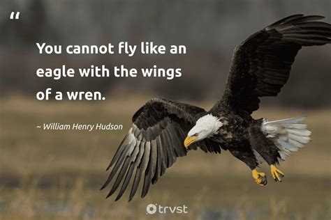 39 The Eagles Quotes To Inspire And Motivate You
