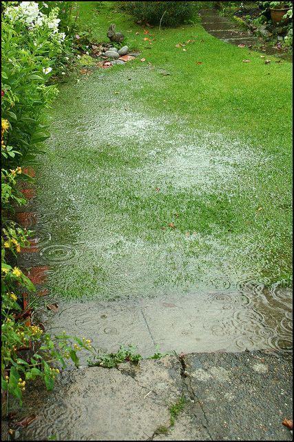 We are lawn specialists, watering lawns on slopes is particularly problematic. How to Divert Water Runoff Away From A House | Drainage solutions, Drainage solutions ...