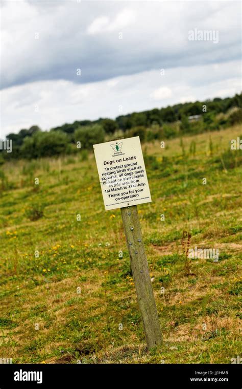 Prees Heath Protect Ground Nesting Birds Hi Res Stock Photography And
