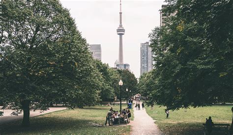 Toronto Neighbourhood Guide How To Choose Your Next Home In Downtown