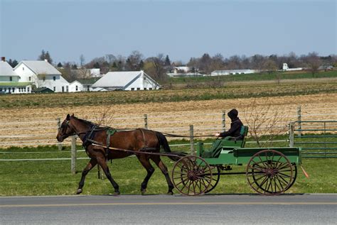 Horse Drawn Wagon Medieval Images Therapeutique Auto