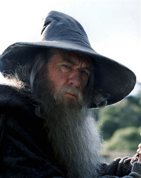 Concerning The Lord Of The Rings Gandalf The Grey Words Of Wisdom