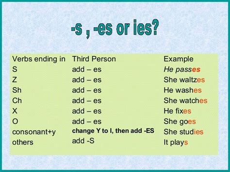 Present Simple 3rd Person Singular English Vocabulary Words English