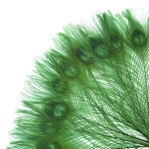 Peacock Feathers 5 To 100 Pieces Kelly Green Bleached Dyed Tails