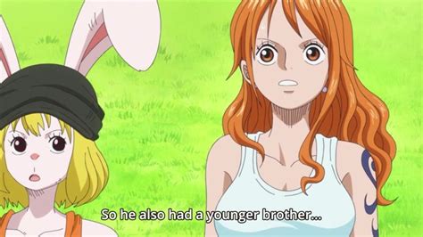 Nami And Carrot One Piece Anime Episode 784 One Piece Anime Episodes