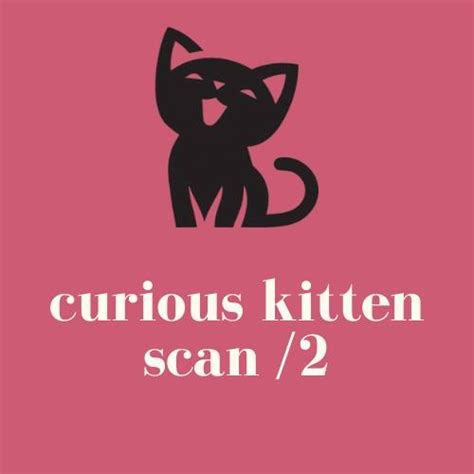 curious kitten 2