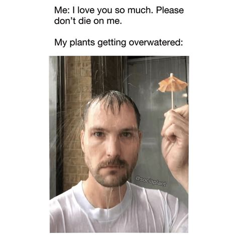 Sometimes I Forget That Overwatering Is A Thing Rplantmemes