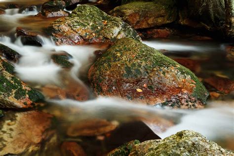 Nature Forest Rock Waterfall Blur Leaf Image Free Photo