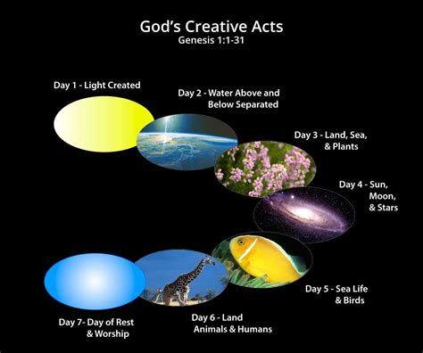 Creation And Fall Of Man Origin Of The Creation And Sin Neverthirsty