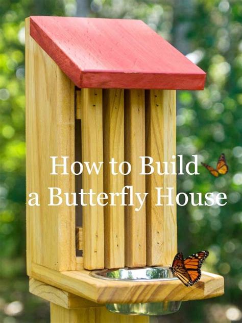 Butterfly House Plans How To Attract And Care For These Delicate