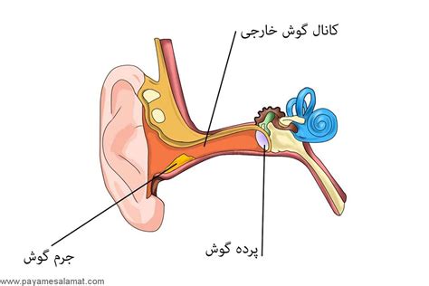 When in doubt, just remember the further outside you are, the safer it will be for ear cleaning. آموزش تمیز کردن و شستشوی گوش در خانه بدون آسیب زدن به آن