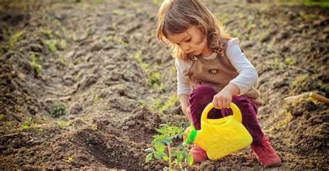 Best Seeds For Kids Fast Growing Flowers And Vegetables