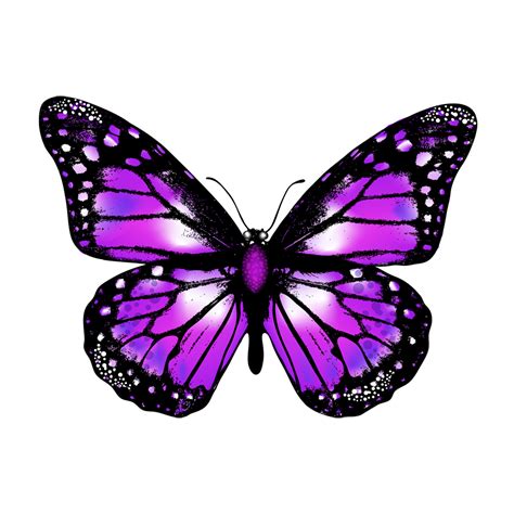 Purple Butterfly Png Image Free Download Png Play