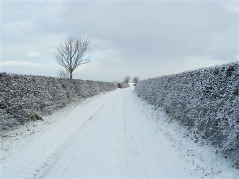 Free Images Tree Nature Sky Road Street Frost Driving Country