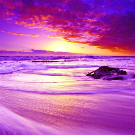 purple beach sunset 4k iPad Pro Wallpapers Free Download