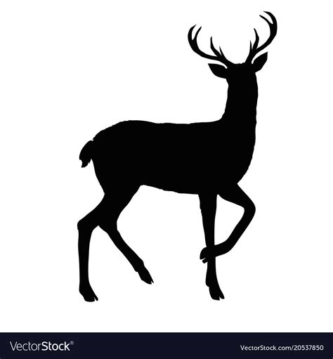 Deer Silhouette Royalty Free Vector Image Vectorstock