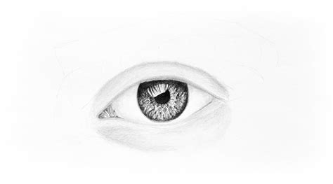 Como Dibujar Ojos De Personas Paso A Paso Consejos Ojos