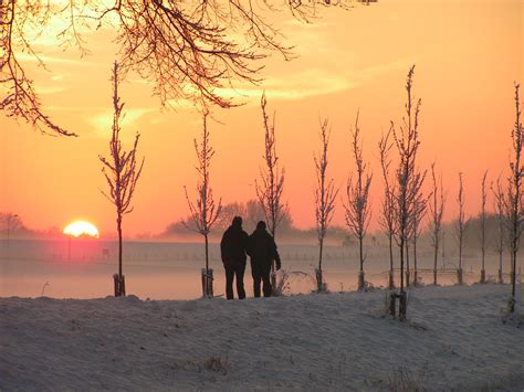 Free Images Landscape Tree Horizon Snow Winter Sun Sunrise