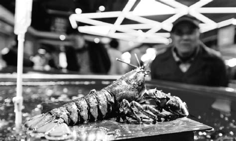 It is composed of the inner. a customer checks out boston lobsters at a shopping mall ...
