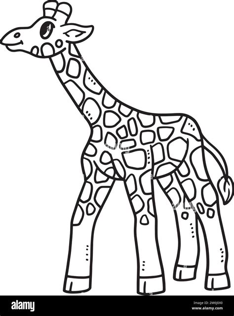 Baby Giraffe Isolated Coloring Page for Kids Stock Vector Image & Art