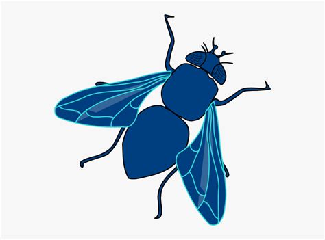 Fly Clipart Fly Clip Art Free Transparent Clipart Clipartkey