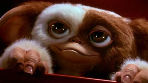 21 Crazy Facts Behind The Making Of The Gremlin Movies