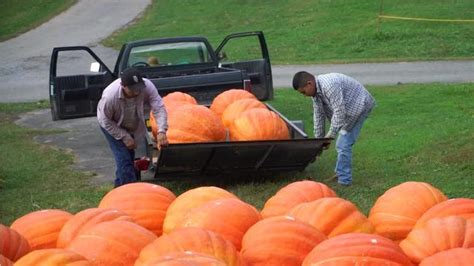 A Look At Chadds Fords Pumpkin Carving Tradition