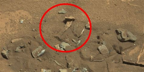 Pictures of earth have been taken by both orbital missions and surface missions to mars. 'Thigh Bone' On Mars Seen In New Curiosity Photo | HuffPost