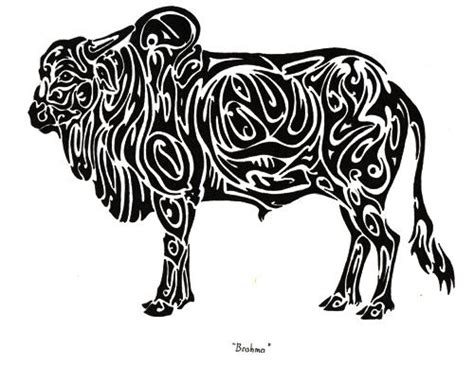 Brahma Bull By Inrun On Deviantart