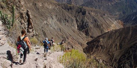 Trek Cañon Del Colca 3d2n Peru Andes Findlocaltrips