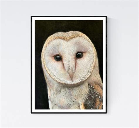 Barn Owl Print Barn Owl Art Owl Wall Art Owl Ts Owl Etsy