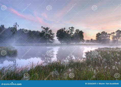 A Beautiful Foggy Morning Stock Image Image Of Scenery 26562605