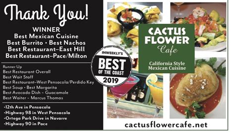 Get info on cactus flower cafe in pensacola, fl 32503. Cactus Flower Restaurants