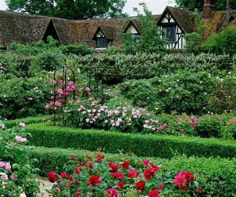 Old English Rose Garden And A Tudor D