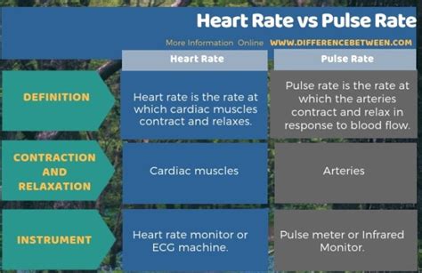Difference Between Heart Rate And Pulse Rate Compare The Difference