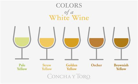 The Importance Of The Color Of Wine Part 2 Colors Of White Wines