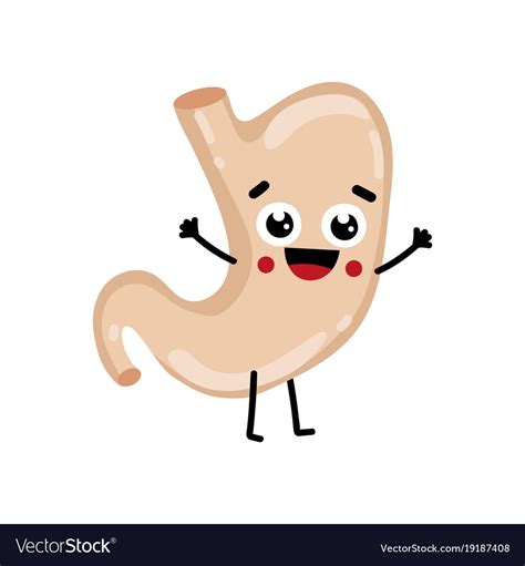 Cartoon Stomach Vector Looking For Cartoon Stomach Psd Free Or