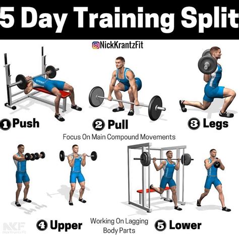 8 Powerful Muscle Building Gym Training Splits GymGuider