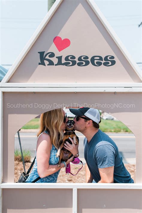 Craigslist Nc Pets Charlotte - Pet Spares