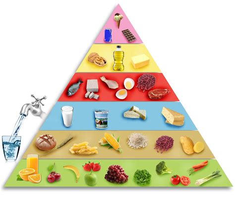 Pyramide Alimentaire Passion Nutrition