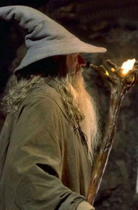 Gandalf Gandalf The Grey Lord Of The Rings Gandalf